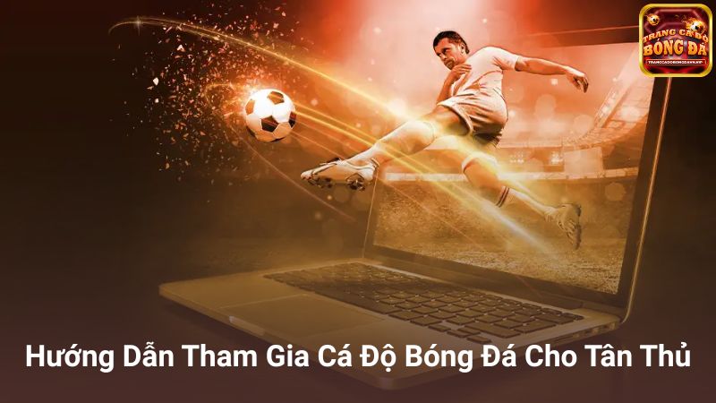 Hướng dẫn chọn trang cá độ bóng đá uy tín cho tân thủ